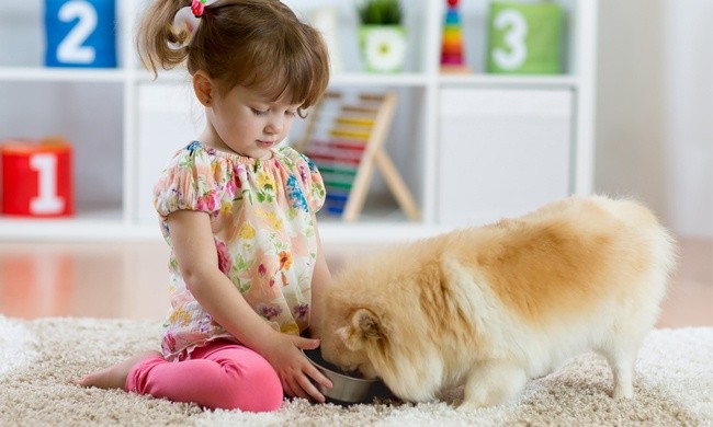 4 Ways Kids can Benefit from Growing Up With Pets
