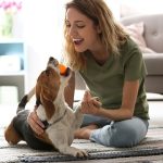 5 Ways to Prepare for a New Furry Companion