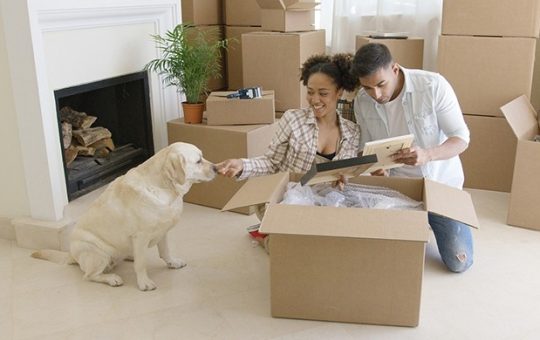 5 Tips for Moving with a Pet
