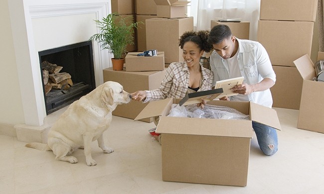 5 Tips for Moving with a Pet