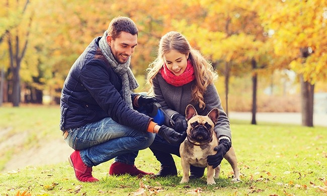 4 Ways to Treat and Trick Your Pet this Fall