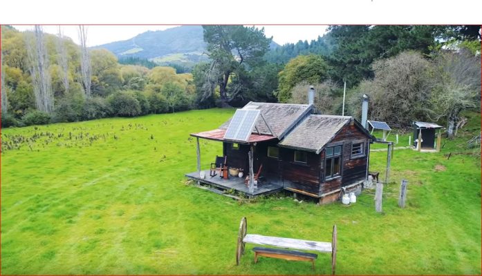 Amazing Off The Grid Cabin In New Zealand Paradise