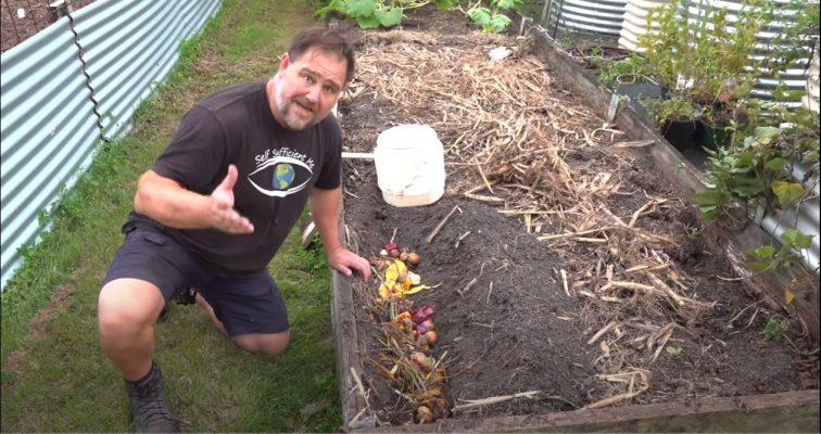 What Happens When You Bury Kitchen Scraps in the Garden