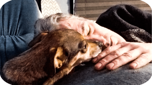 Pets Make Humans Better