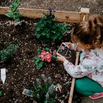 7-Frugal-Gardening-Tips-and-Tricks