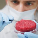 Lab–grown and plant–based meat science psychology and future of meat alternatives