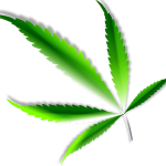 The Cannabis Question