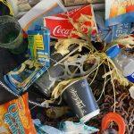 Plastic trash in the ocean is a global problem, and the US is the top source